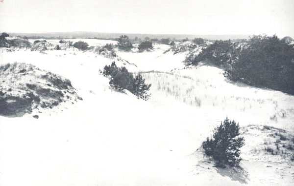 Gelderland, 1910, Ede, Zandverstuivingen. Het Wekeromsche Zand