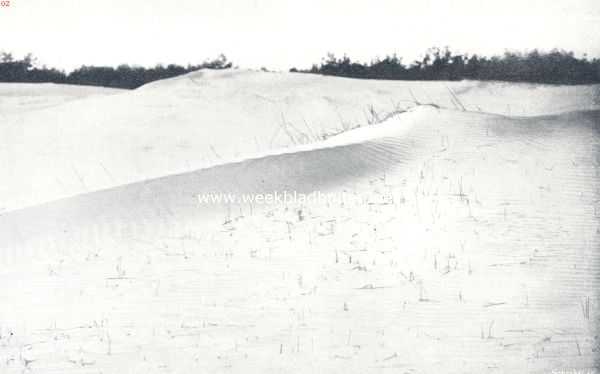 Nederland, 1910, Onbekend, Zandverstuivingen. Opgestoven zand