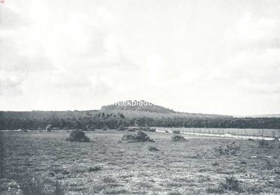 Gelderland, 1910, Onbekend, Montferland. De Montferlandsche heuvel gezien van den Paaschheuvel af