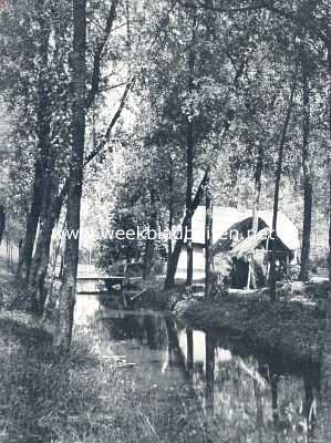 Gelderland, 1910, Culemborg, Bij Culemborg