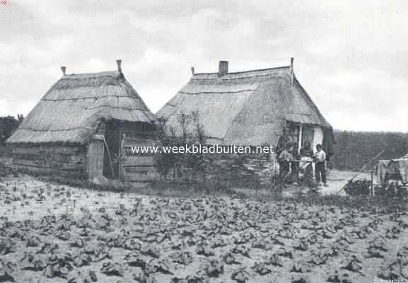 Limburg, 1910, Onbekend, In een woonwagen door Nederland. Boerenwoning in Noord-Limburg