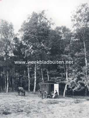 Nederland, 1910, Onbekend, In een woonwagen door Nederland. Een open plek in het bosch
