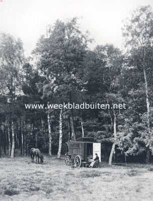 In een woonwagen door Nederland. Een open plek in het bosch