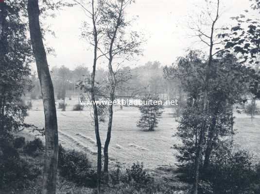 Nederland, 1910, Onbekend, In een woonwagen door Nederland. De eerste nachtvorst. Opname van de standplaats van den woonwagen af. Bij 't ontwaken was de geheele omgeving met rijp overdekt