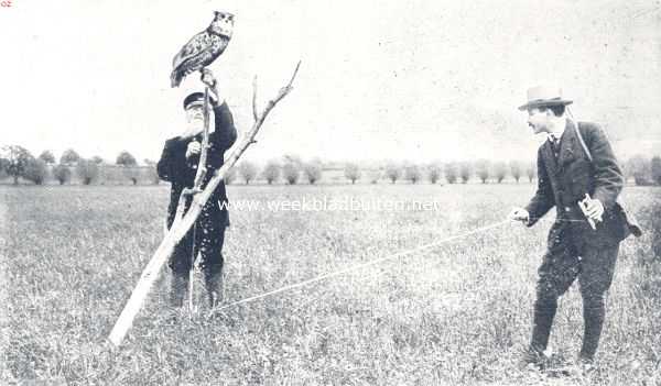Onbekend, 1910, Onbekend, De kraaienhut. Het opstellen van den oehoe