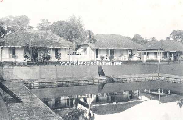 Indonesi, 1910, Palembang, Palembang. Straat te Palembang
