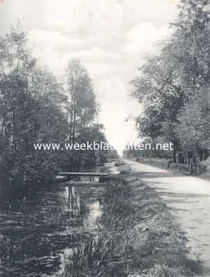 Noord-Holland, 1910, Aalsmeer, Wegsloot bij Aalsmeer