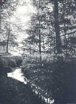 Gelderland, 1910, Leuvenum, Leuvenumsche bosch. Gezicht op de Hierderbeek
