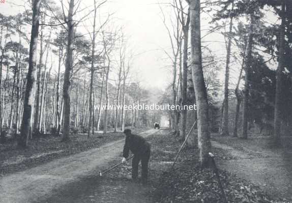 Noord-Holland, 1910, Bussum, De camera in den herfst. De hoofdallee van het bosch van Bredius te Bussum