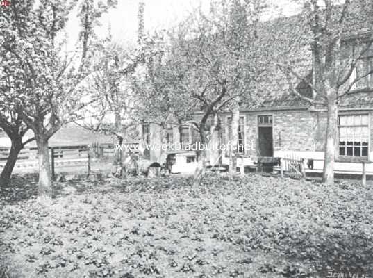 Noord-Holland, 1910, Onbekend, De Westfriesche boerderij. Westfriesche boerderij, achterzijde