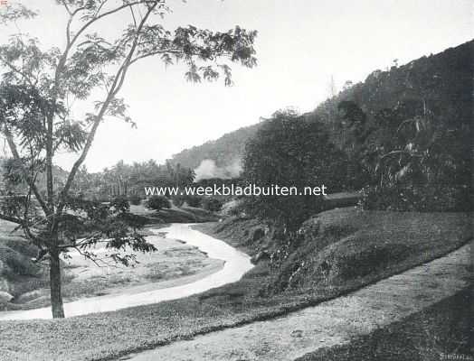 Maleisi, 1910, Penang, Penang. De botanische tuinen