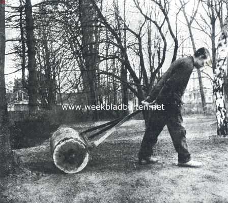 Gras onder boomen. Het terrein moet op een drogen dag goed gelijk gerold worden