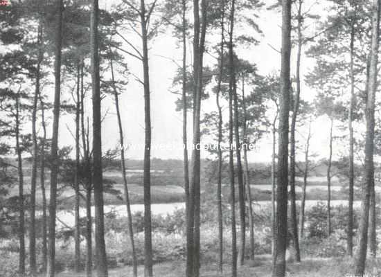 Gelderland, 1910, Onbekend, Het landgoed Hagenau. Herfst op het landgoed Hagenau