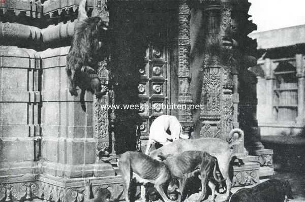 India, 1910, Onbekend, Reisindrukken uit Britsch-Indi. De apentempel