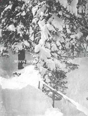 Onbekend, 1910, Onbekend, Boschpad in sneeuw