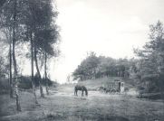 Miniatuurfoto