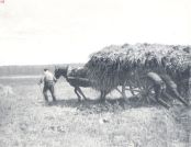 Miniatuurfoto