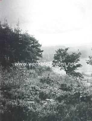 Gelderland, 1911, Arnhem, Geldersch bergpanorama, gezien van den Zijperberg bij Arnhem