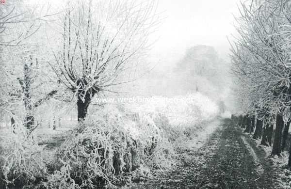 Zeeland, 1911, Goes, Dreef nabij Goes in wintertooi