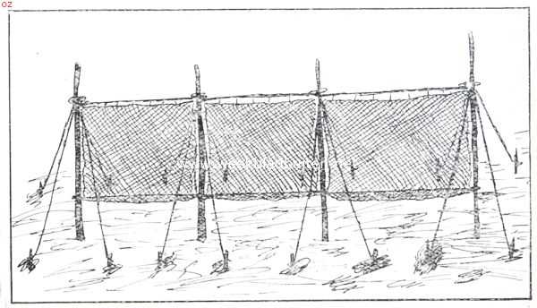 Onbekend, 1911, Onbekend, Het staltnet