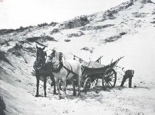 Zeeland, 1911, Onbekend, De duinen van Schouwen. Zandafgraving in de duinen op Schouwen