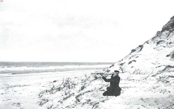 Zeeland, 1911, Onbekend, De duinen van Schouwen. Afgekalfd duin
