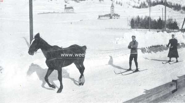 Zwitserland, 1911, Samaden, Skijring