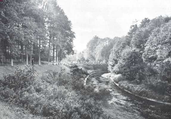 Noord-Holland, 1911, Bussum, Het bosch van Bredius. De Vliet