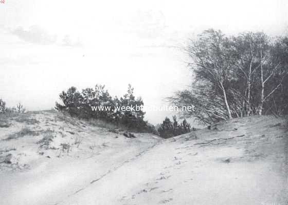 Gelderland, 1911, Onbekend, Aan den rand van het Mosselsche Zand