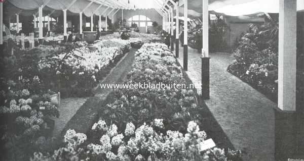 Zuid-Holland, 1911, Boskoop, De bloemententoonstelling te Boskoop. Algemeen overzicht van het hoofdgebouw, van het podium af