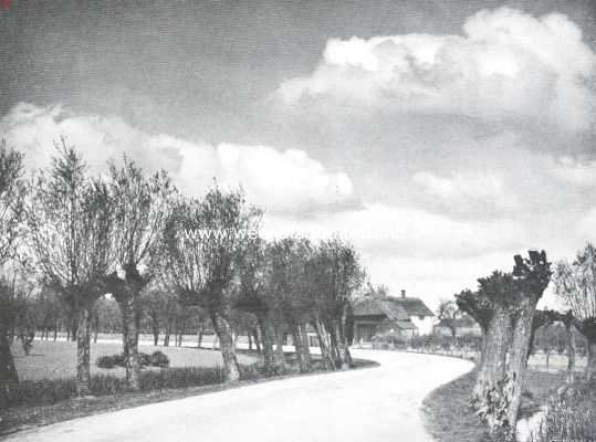 Gelderland, 1911, Onbekend, Fruitteelt. In de Over-Betuwe, als 't maar geen lente worden wil