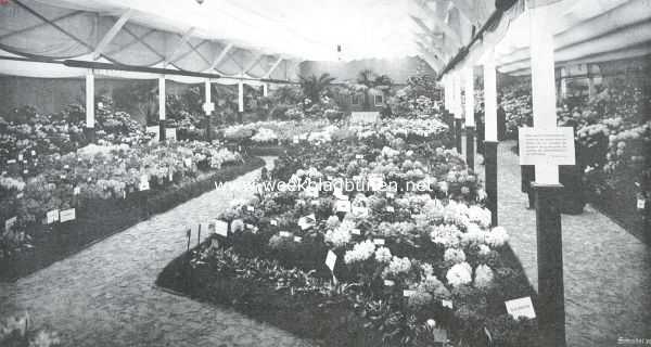 Zuid-Holland, 1911, Boskoop, De bloemententoonstelling te Boskoop. Algemeen overzicht van het bijgebouw