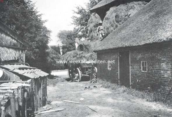Noord-Holland, 1911, Onbekend, Het Gooi. Hooi-oogst