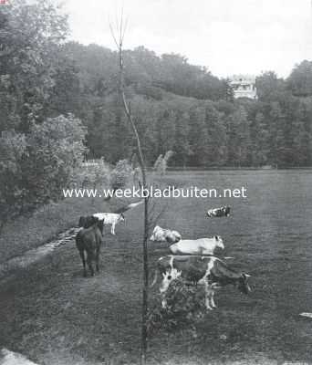 Gelderland, 1911, Wageningen, Gezicht op den Huize Belmonte bij Wageningen