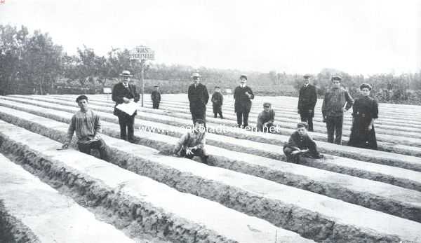 Zuid-Holland, 1911, 's-Gravenzande, Over asperges. 's Rijks asperge-poefveld te 's-Gravenzande, waar verschillende bemestingsproeven tot verbetering der cultuur gehouden worden