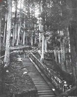 Japan, 1911, Nikk, Steenen trap naar het graf van Ieyasu in het tempelbosch te Nikko