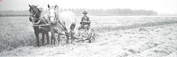 Zeeland, 1911, Onbekend, Zuid-Beveland, voornamelijk als landbouwland. De maaimachine in werking