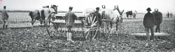 Zeeland, 1911, Onbekend, Zuid-Beveland, voornamelijk als landbouwland. Zaaimachines met eggen aan het werk