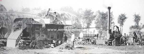 Zeeland, 1911, Onbekend, Zuid-Beveland, voornamelijk als landbouwland. Stoomdorschmachine in werking. Koolzaad-dorschen