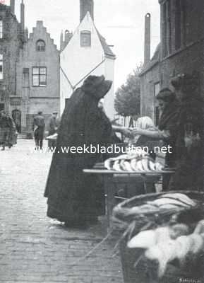 Belgi, 1911, Brugge, Brugge. Op de Vischmarkt