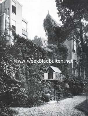 Noord-Holland, 1911, Amsterdam, Clematis Vitalba (Boschrank), in 1900 in een Amsterdamschen tuin geplant, met vier ranken, twee 5 en twee 3 cM. Dik. Langs ijzergaas opgegroeid tot om den geveltop (ongeveer 15 M.) in het midden, terwijl links de schoorsteenpijp is bereikt en uit het midden een rank is geleid in den peerenboom rechts, de witte bloemtrossen hebben thans het eigenaardig vruchtpluis voortgebracht