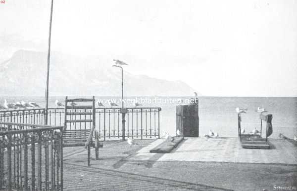 Zwitserland, 1911, Onbekend, Meeuwen aan het Meer van Genve