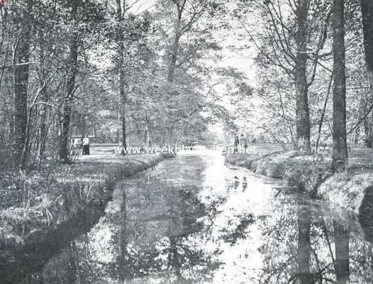 Zuid-Holland, 1911, Rozenburg, Als de bladeren vallen. Rozenburg re Rotterdam in den herfst