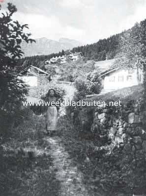 Zwitserland, 1911, Onbekend, Van hooge bergen en kleine levens. Naar huis