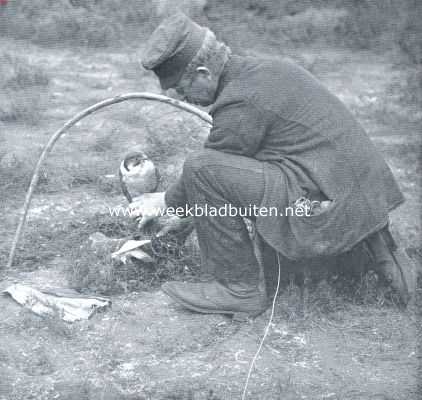 Nederland, 1911, Onbekend, Hoe men vogels vangt. Valkenvangst. Lokduif en valk onder het slagnet