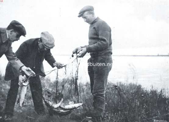 Noord-Holland, 1911, Onbekend, Snoekvisschen met den kaaskop. Een prachtige trek