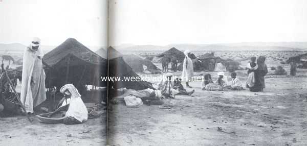 Afrika, 1911, Onbekend, Van Afrika's noordkust. Nomadenkamp 2