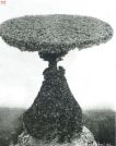 Miniatuurfoto