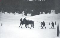 Miniatuurfoto