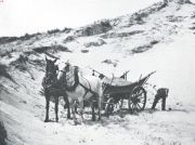 Miniatuurfoto